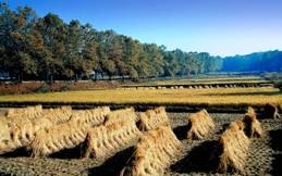 clip_image008[6]