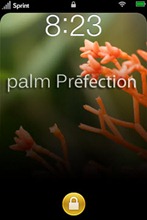 palm prefection
