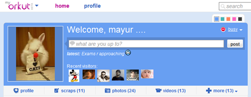 New Orkut New Orkut