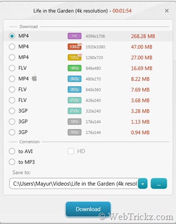 output video formats