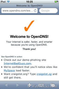 OpenDNS working