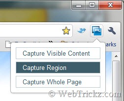 webpage capture chrome extension