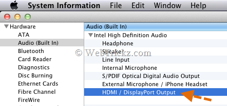 HDMI/ DisplayPort Output_Mac
