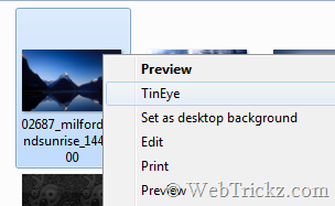 TinEye_windows-context-menu