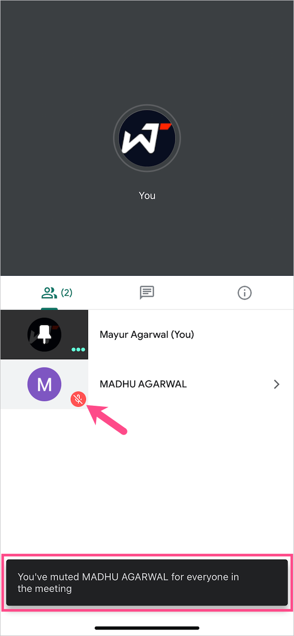 notification when you mute a participant
