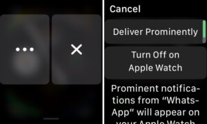 How to Turn Off Deliver Quietly on iPhone, iPad and Apple Watch