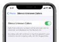 remove call silencing on iOS 14
