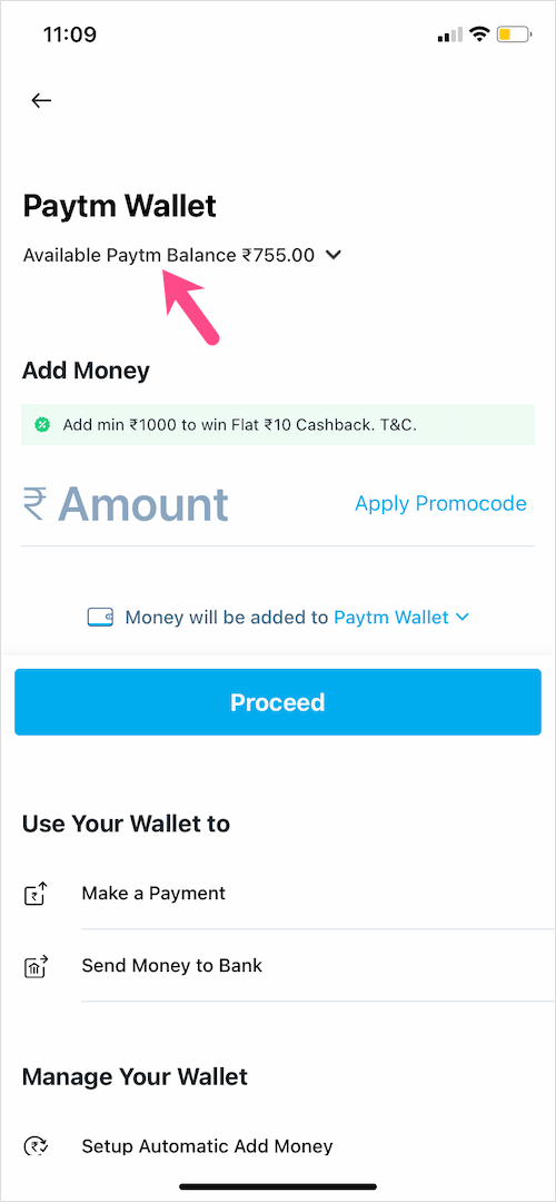Paytm wallet Balance