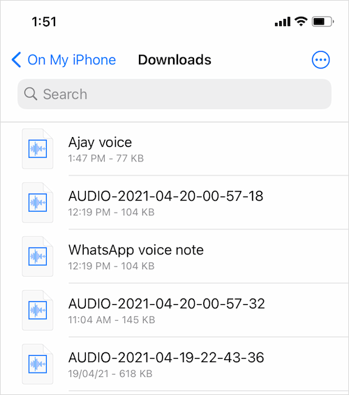 Where are WhatsApp Voice Notes stored on iPhone?