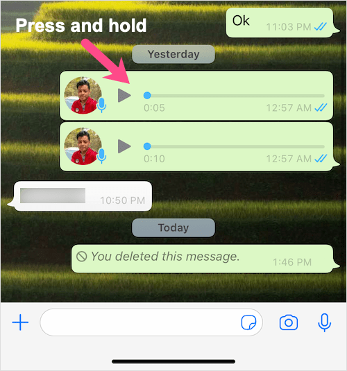 voice notes in WhatsApp conversation on iPhone