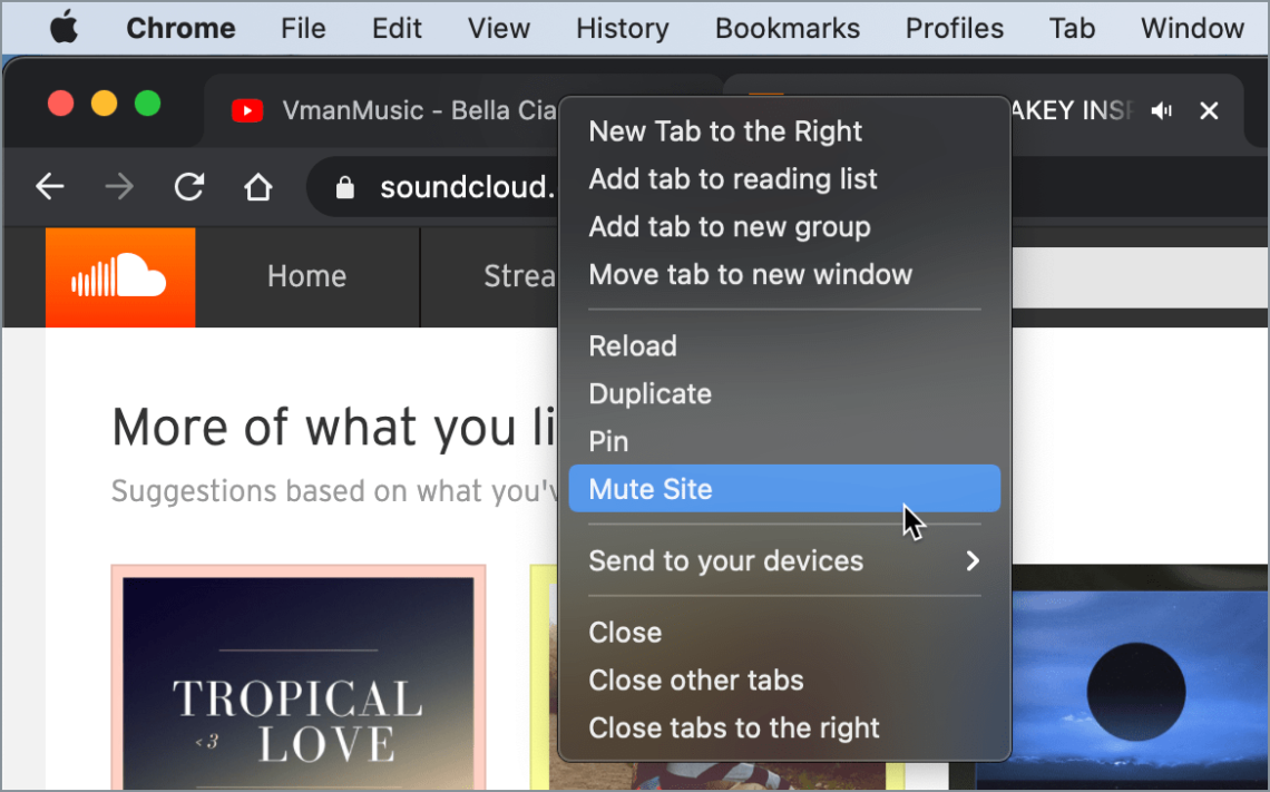 How to Mute a Single Tab Instead of a site in Chrome