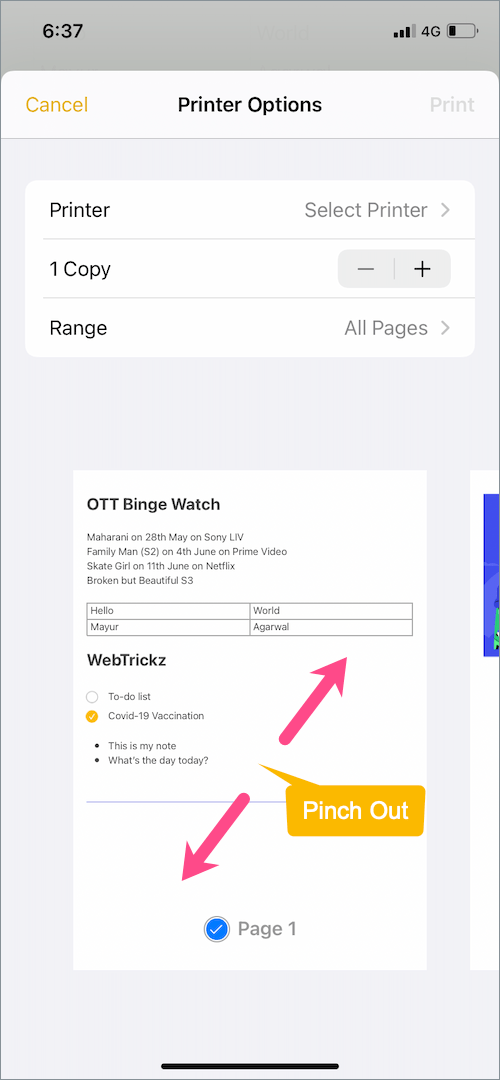 printer options in notes on iPhone