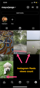 Here's how to See Views on Instagram Reels Video