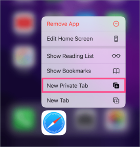 How to Open a Private Tab in Safari on iOS 15 & iPadOS 15