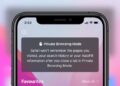 how to use private browsing in safari on iOS 15
