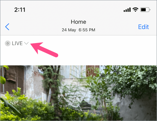 how to change a Live Photo to Loop in iOS 15