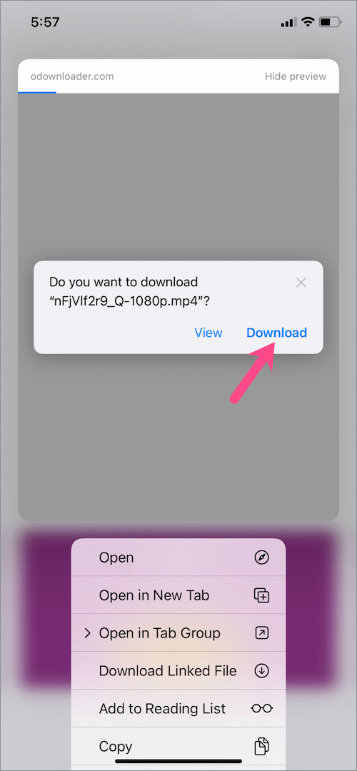 download videos in safari on iOS 15