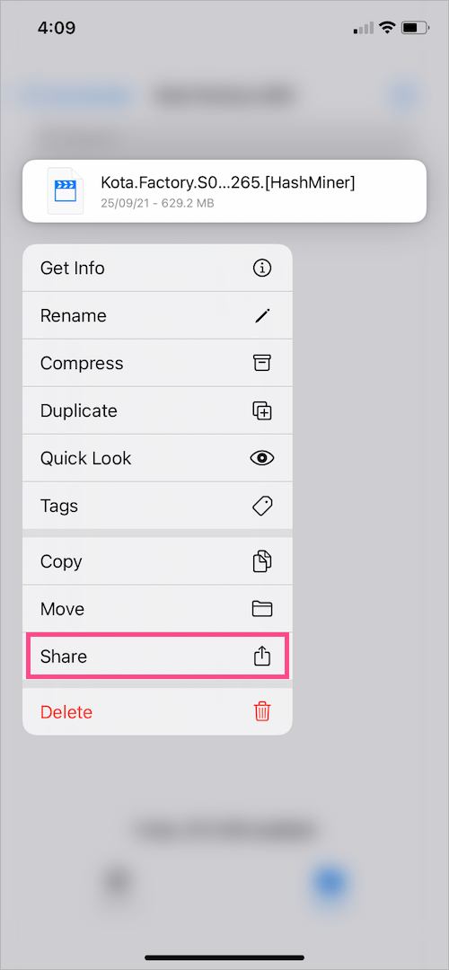 share option in iOS files app