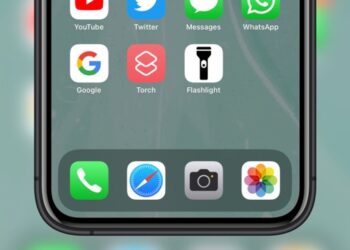 torch and flashlight icon on iPhone Home Screen
