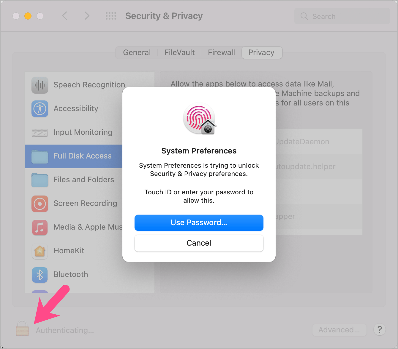 unlock security and privacy preferences on a mac