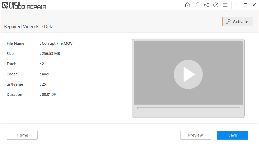 preview repaired video file