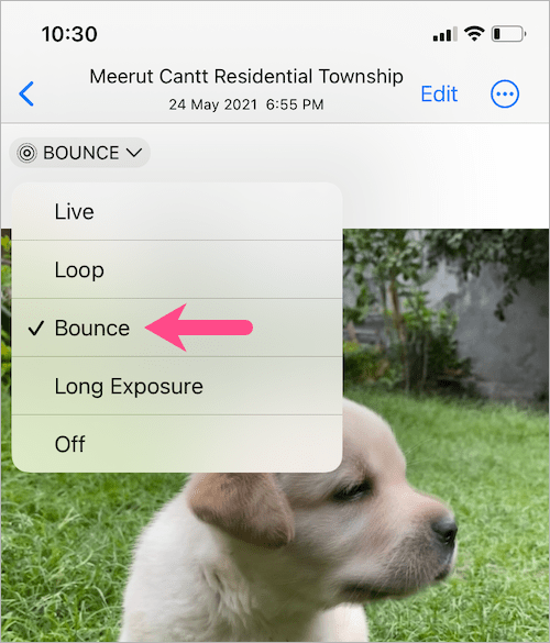apply effects to live photo in ios 16