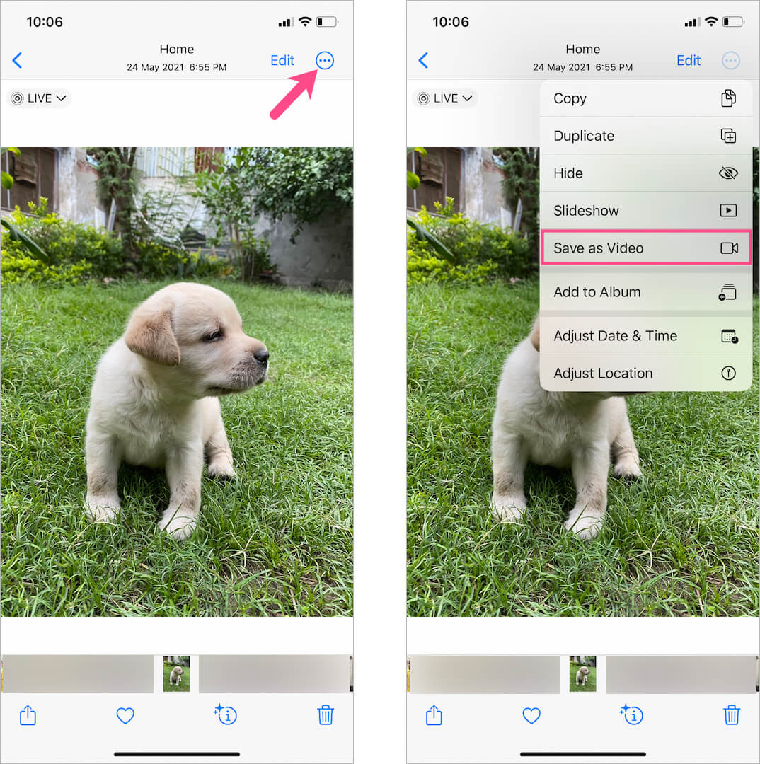 how to save a live photo as video on ios 16 and ios 17