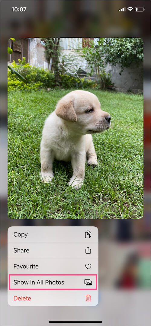 find saved video in all photos on ios
