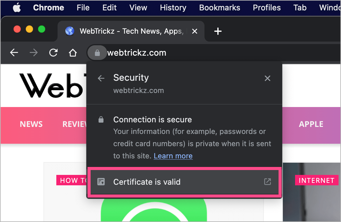 how to verify SSL certificate in chrome browser