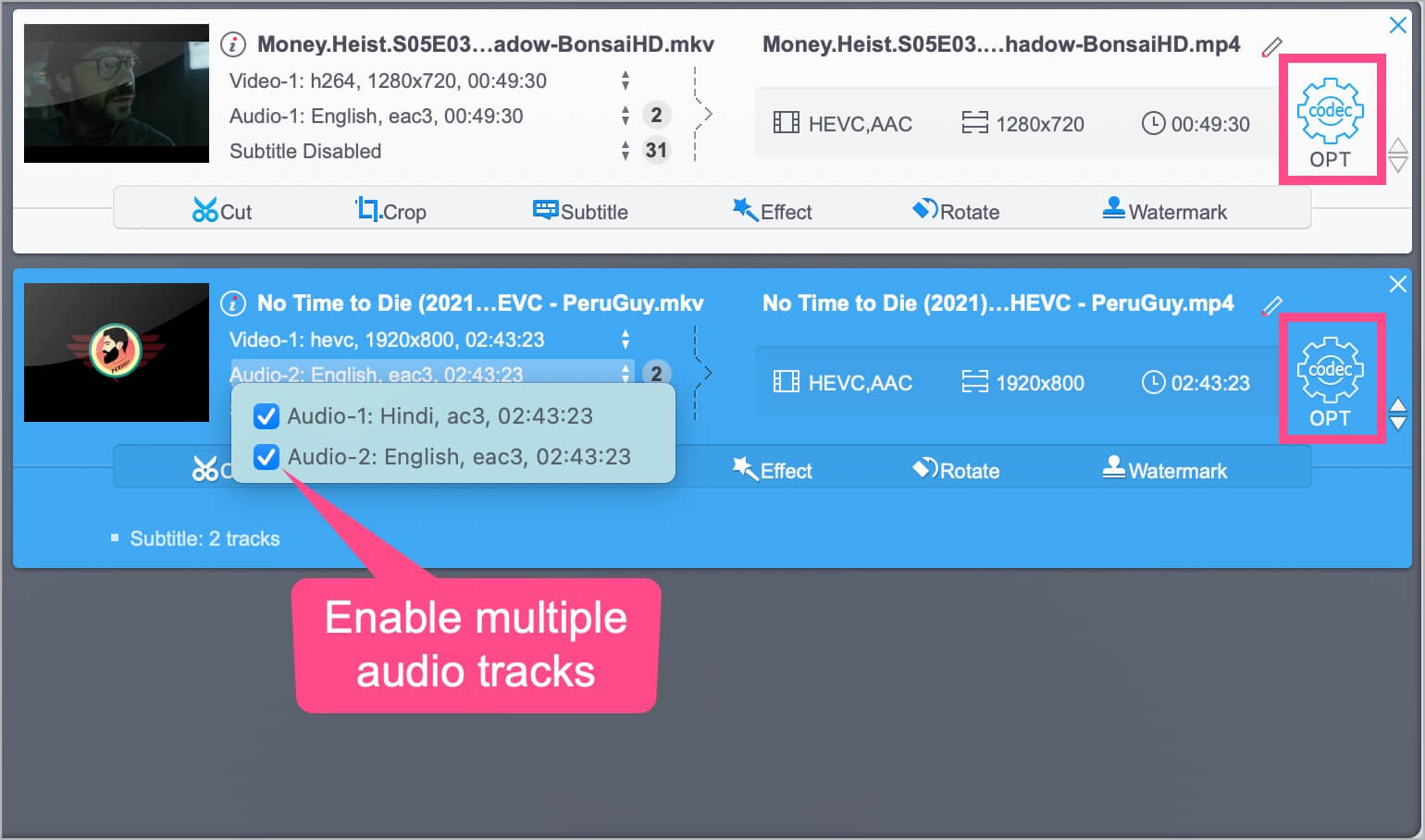 enable audio tracks and subtitles in MKV file