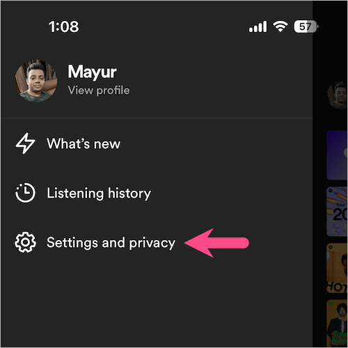 settings in updated spotify app