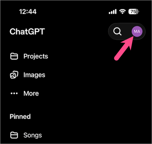 view archived conversations in chatgpt app on iphone