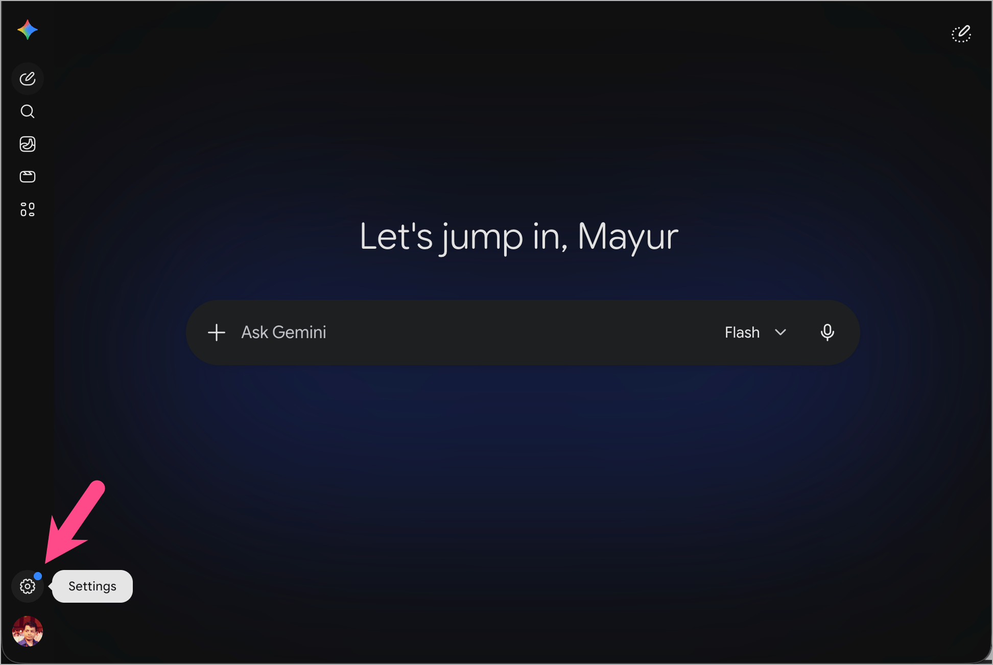 gemini website settings menu