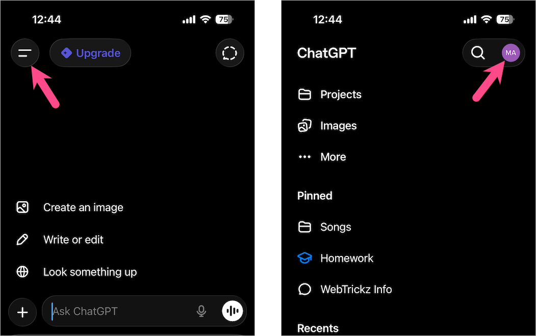 open settings in chatgpt app