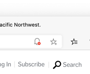 How to Turn Off Notifications in Microsoft Edge (2026 Guide)